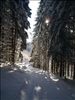 Winter 2010-11 003